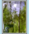 Click to See Fullsize Image
